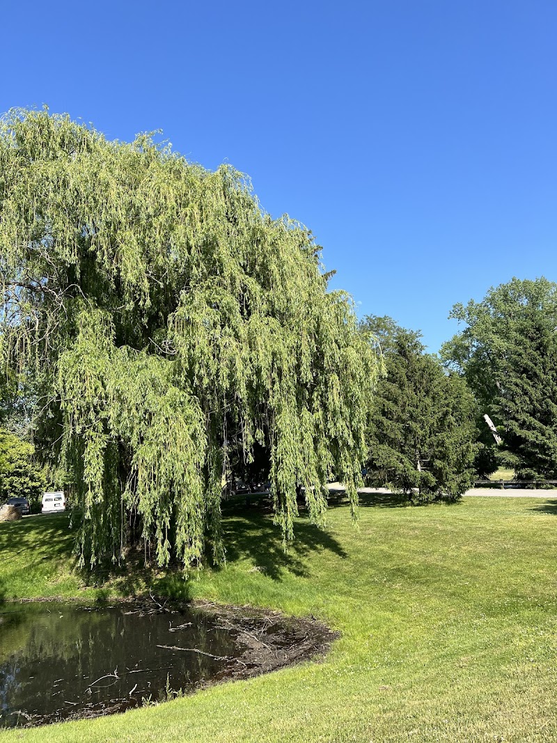 Croton Point Park photo 4