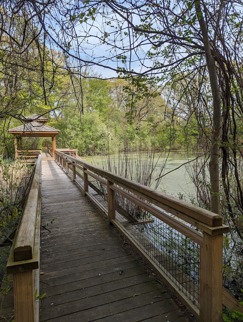CT Audubon Birdcraft Museum photo 3