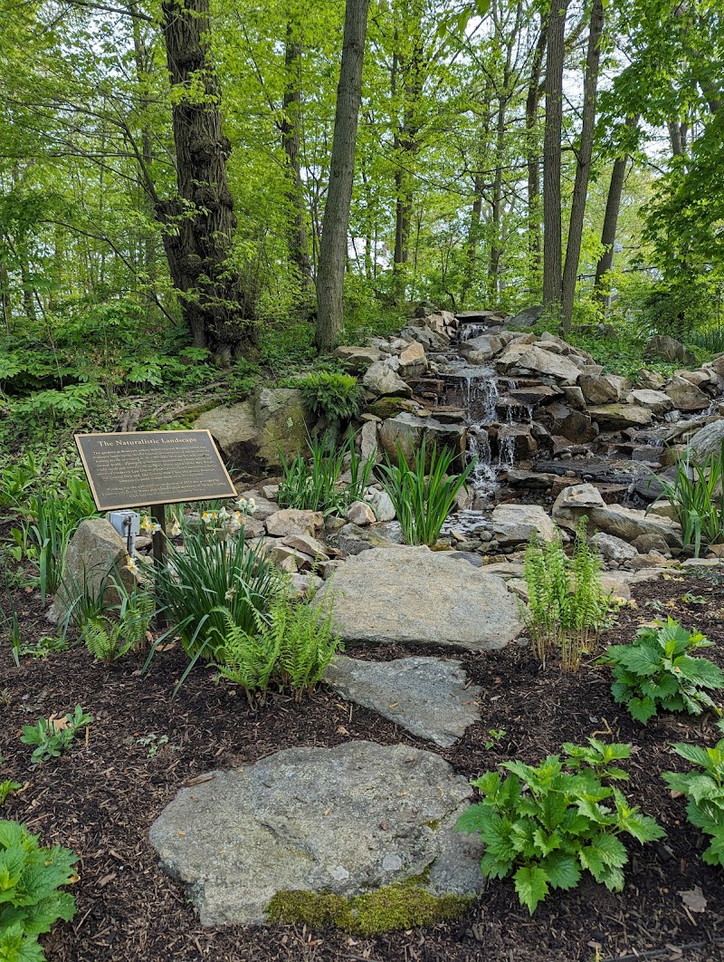 CT Audubon Birdcraft Museum photo 4