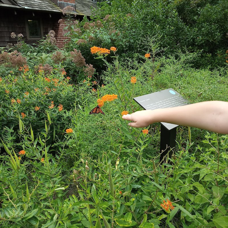 CT Audubon Birdcraft Museum photo 5