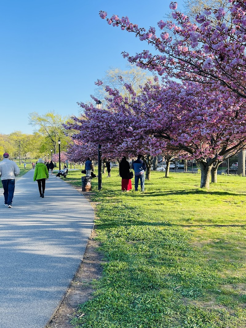 Cunningham Park photo 2