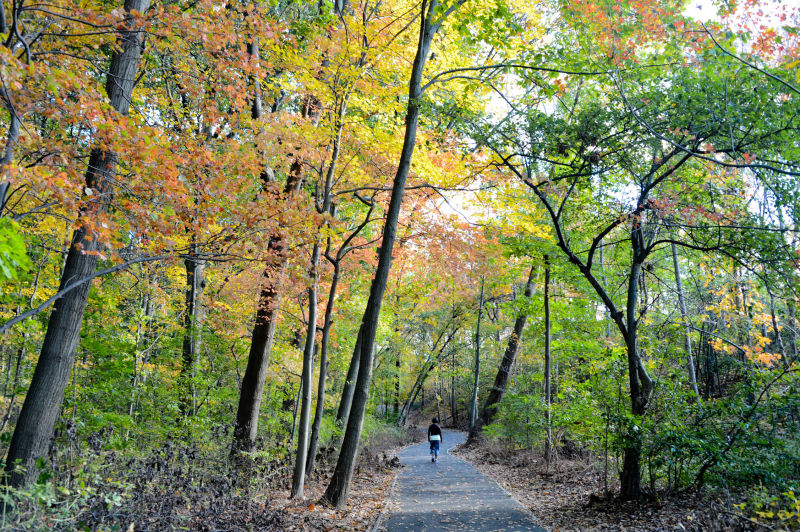 Cunningham Park photo 4