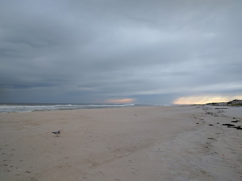 Cupsogue Beach County Park photo 2