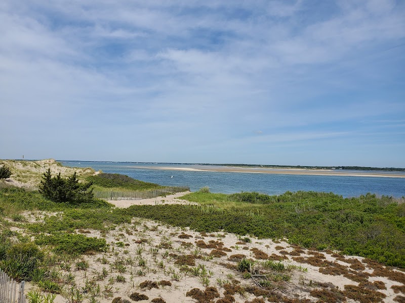 Cupsogue Beach County Park photo 5