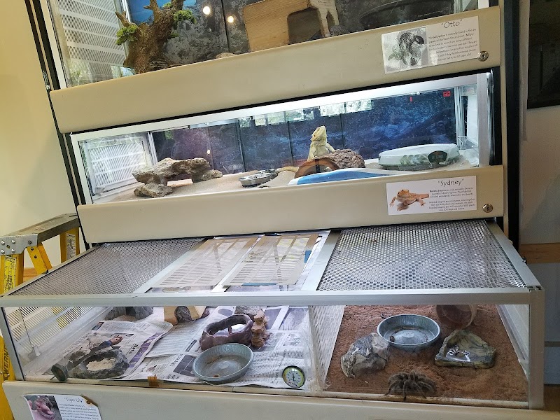 Darien Nature Center photo 4