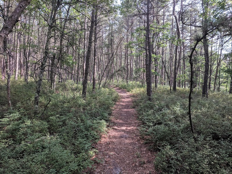 David A. Sarnoff Preserve photo 1