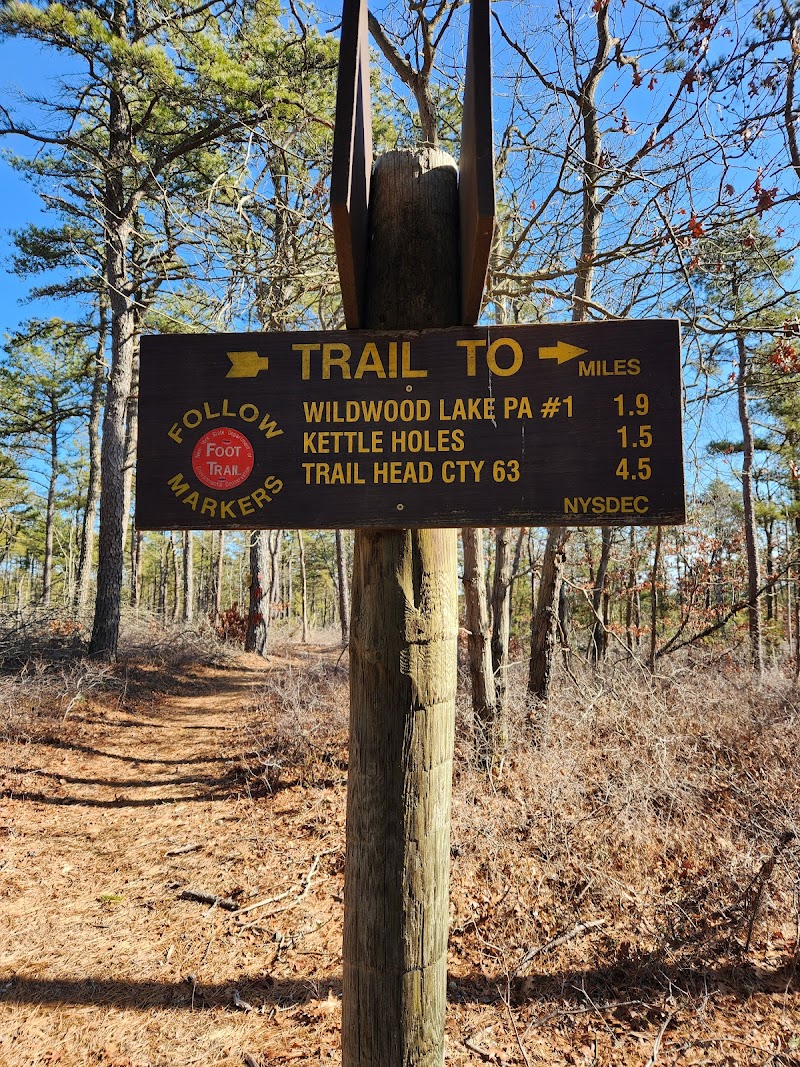 David A. Sarnoff Preserve photo 2