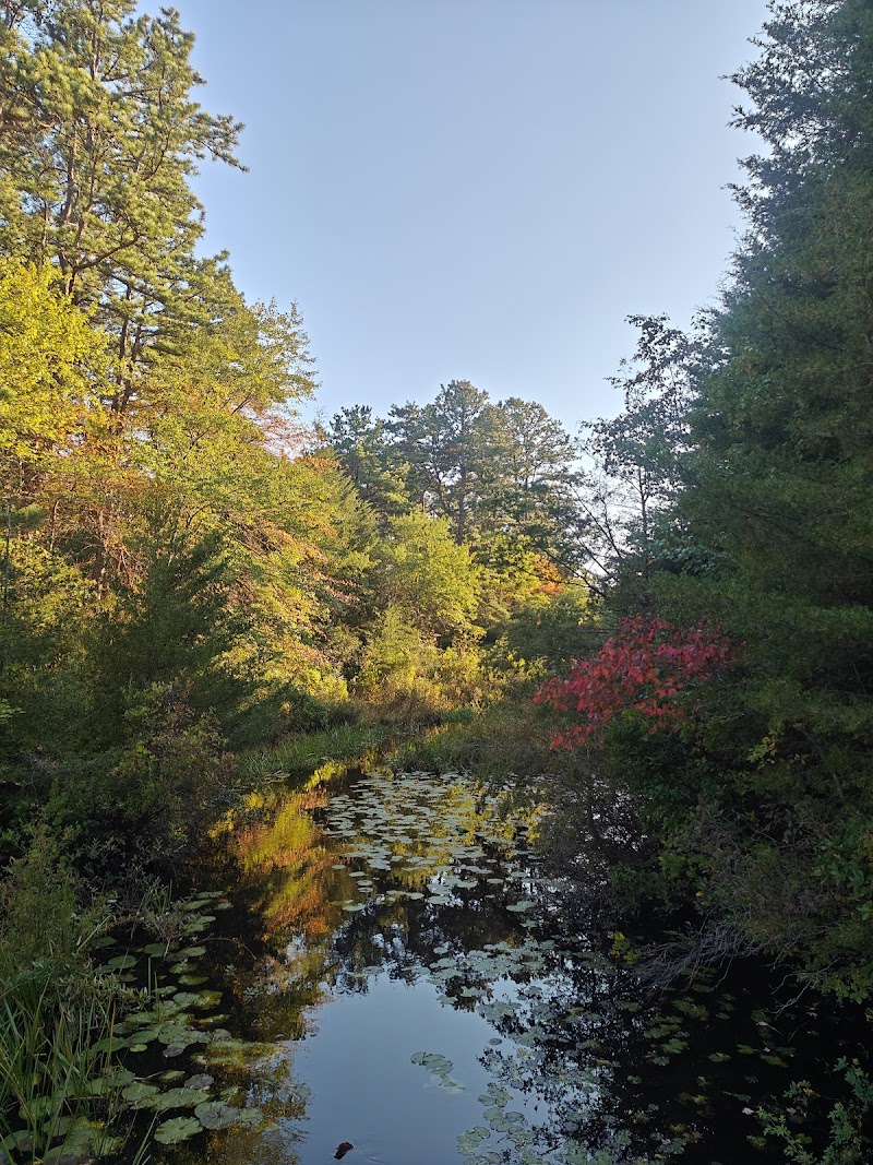 David A. Sarnoff Preserve photo 3