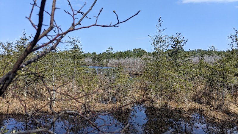 David A. Sarnoff Preserve photo 4