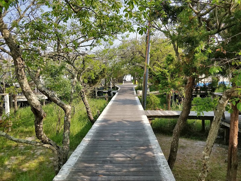 Davis Park, beach in Fire Island