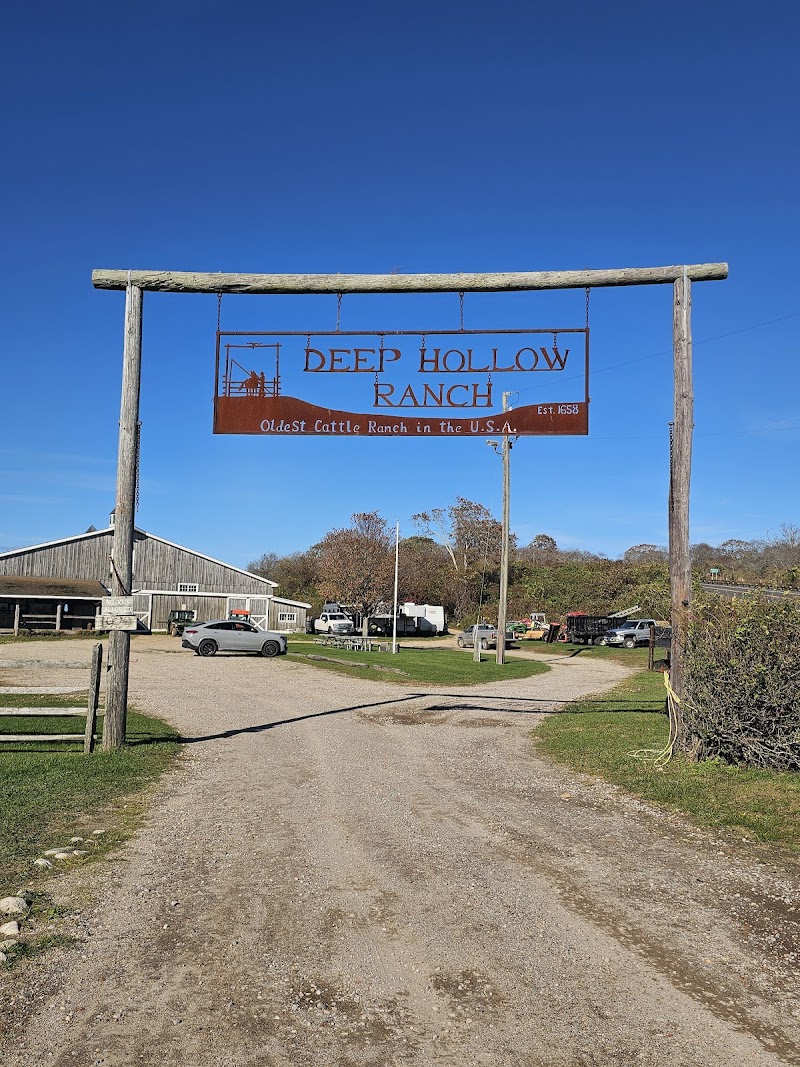 Deep Hollow Ranch photo 4