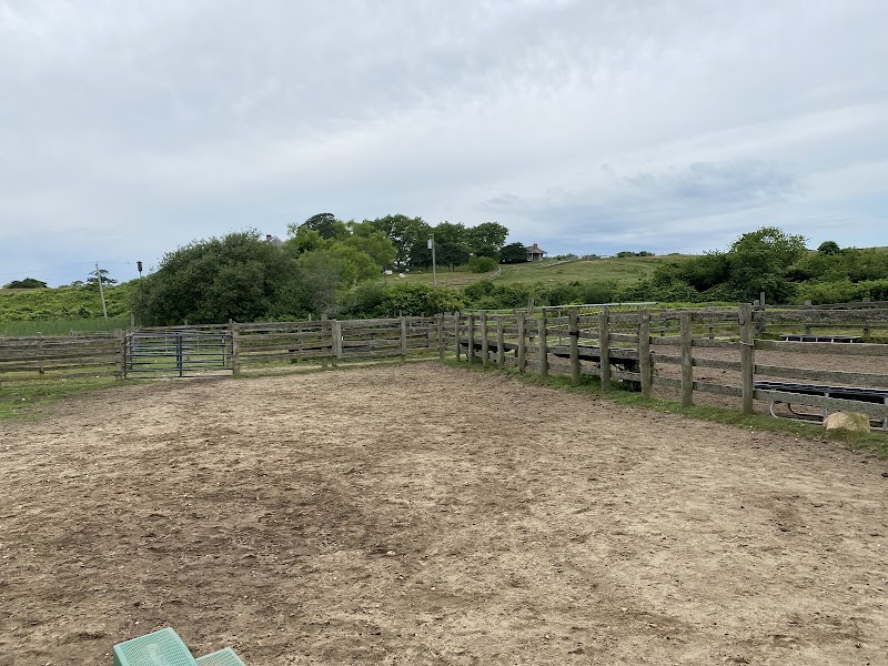 Deep Hollow Ranch photo 5
