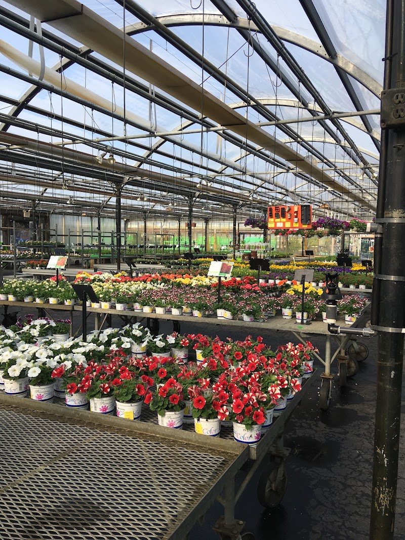 Dees Nursery And Florist photo 2