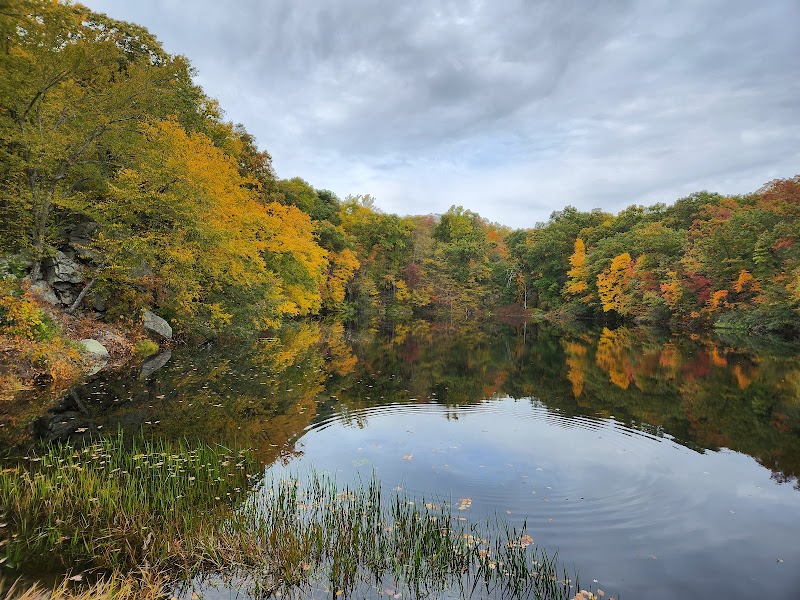 Devil's Den Preserve photo 3