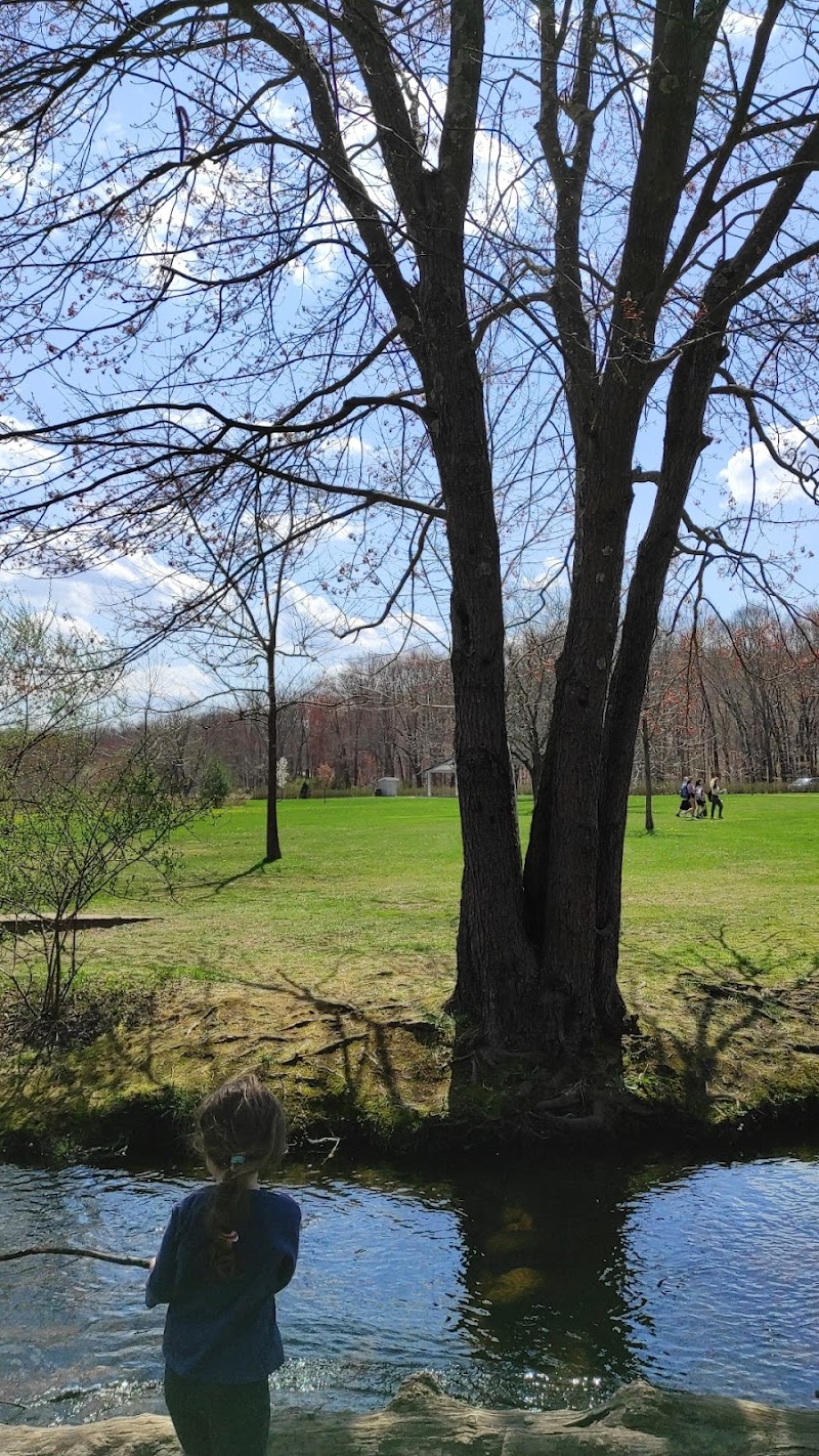 Dickinson Playground photo 5