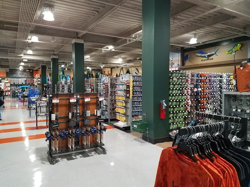 DICK'S Sporting Goods photo 4