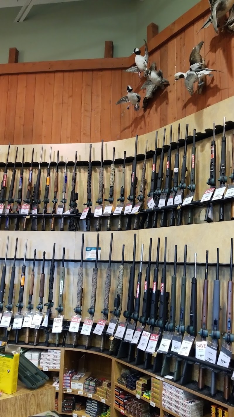DICK'S Sporting Goods photo 4