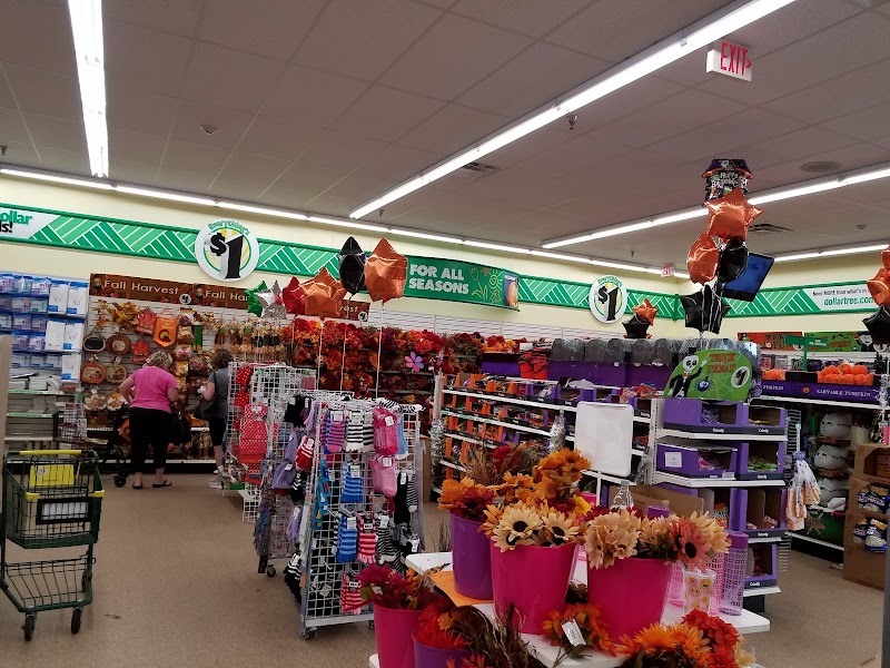 Dollar Tree photo 2