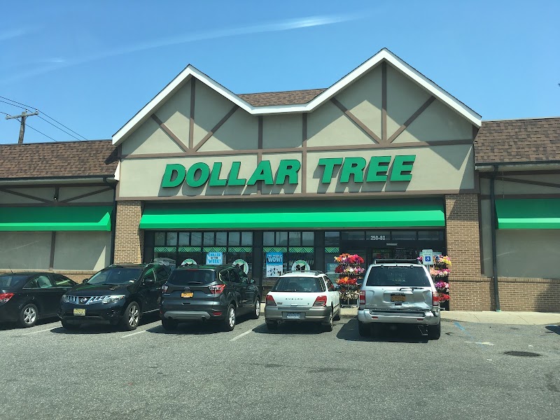 Dollar Tree photo 4