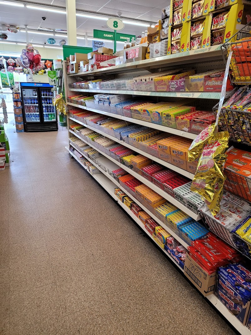 Dollar Tree photo 3