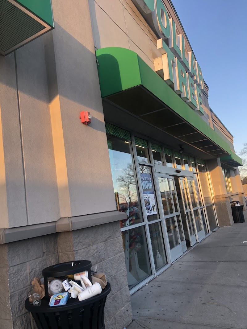 Dollar Tree photo 4