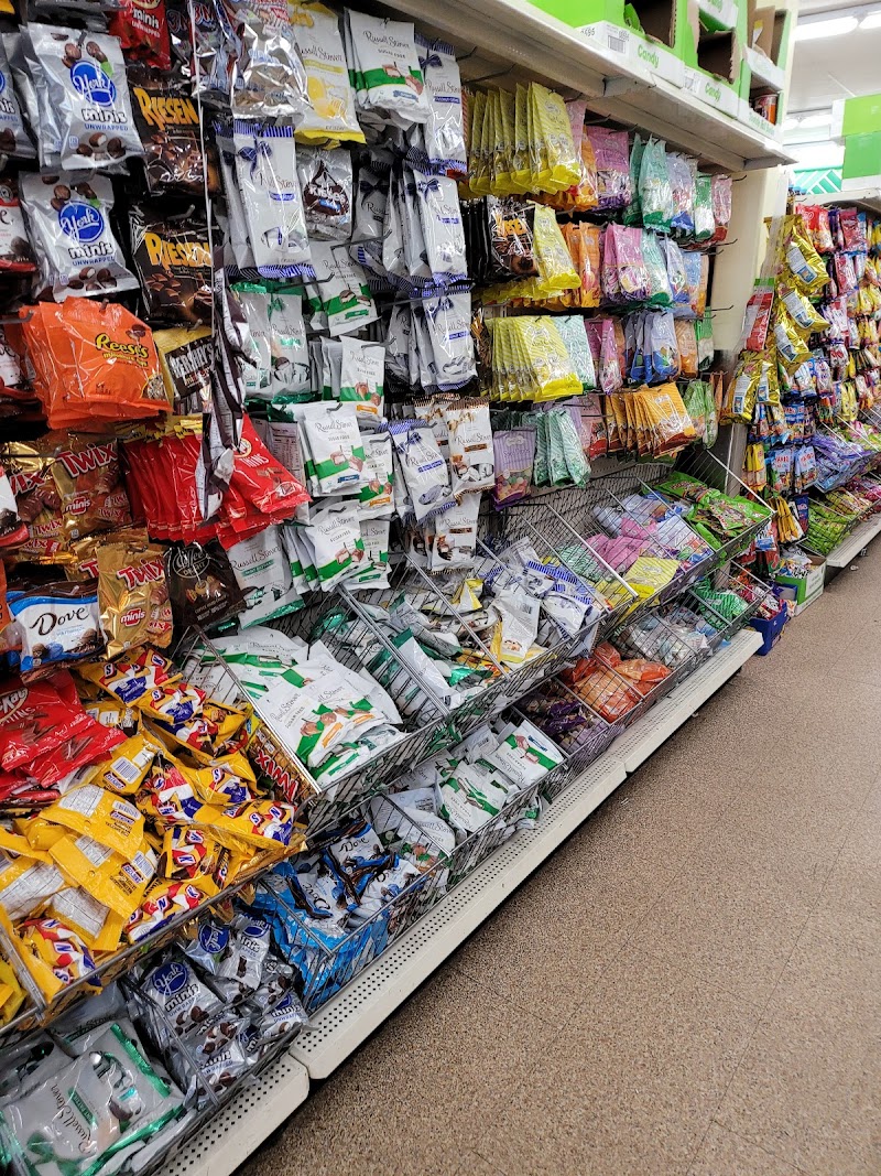 Dollar Tree photo 5
