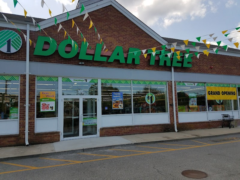 Dollar Tree photo 3