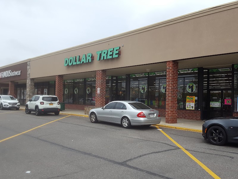 Dollar Tree photo 3