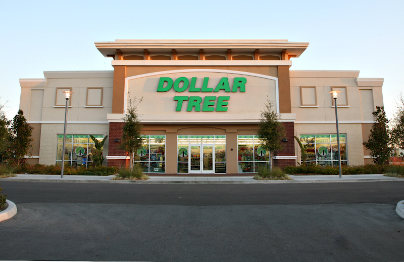 Dollar Tree photo 5