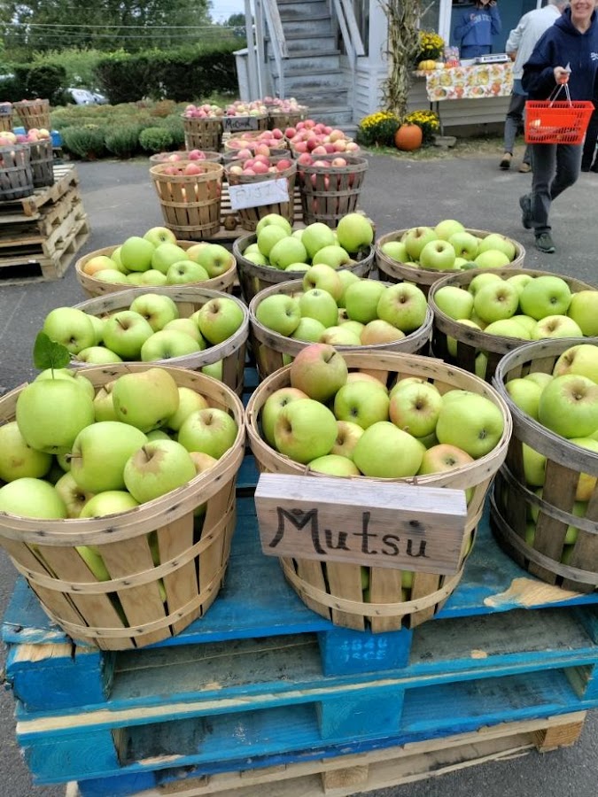 Dondero Orchards photo 1