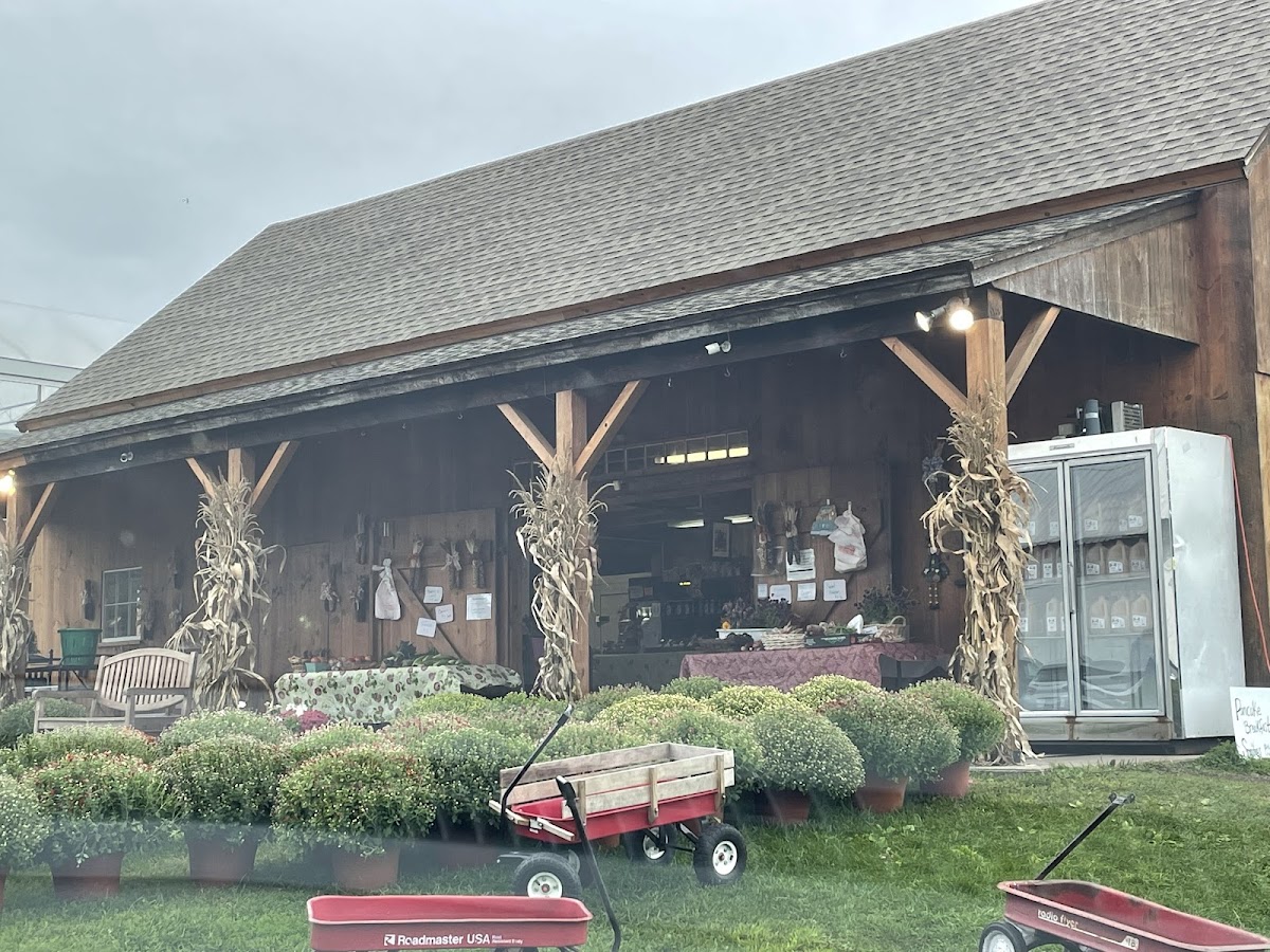 Dondero Orchards photo 4