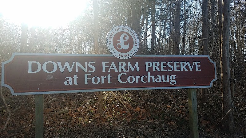 Downs Farm Preserve photo 3