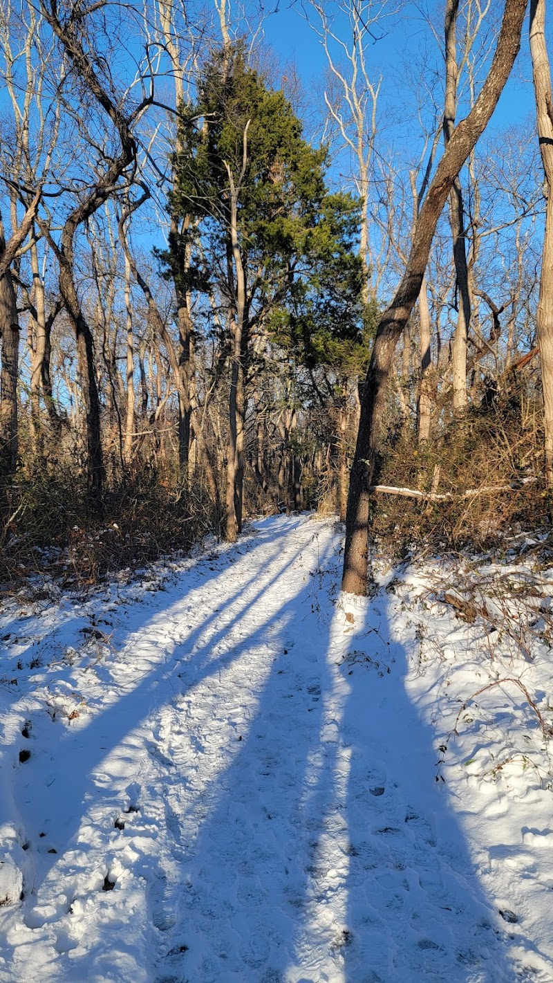 Downs Farm Preserve photo 5