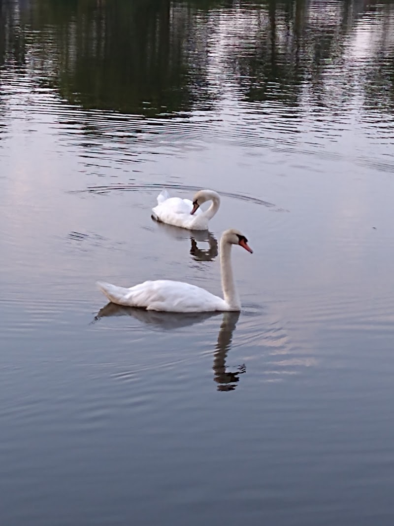 Doxy Brook Fishing Park photo 3