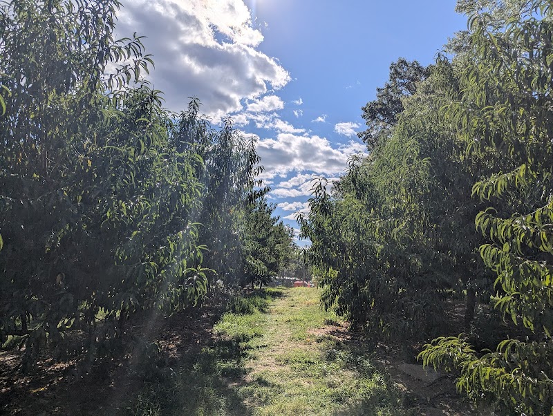 Dr Davies Farm photo 4