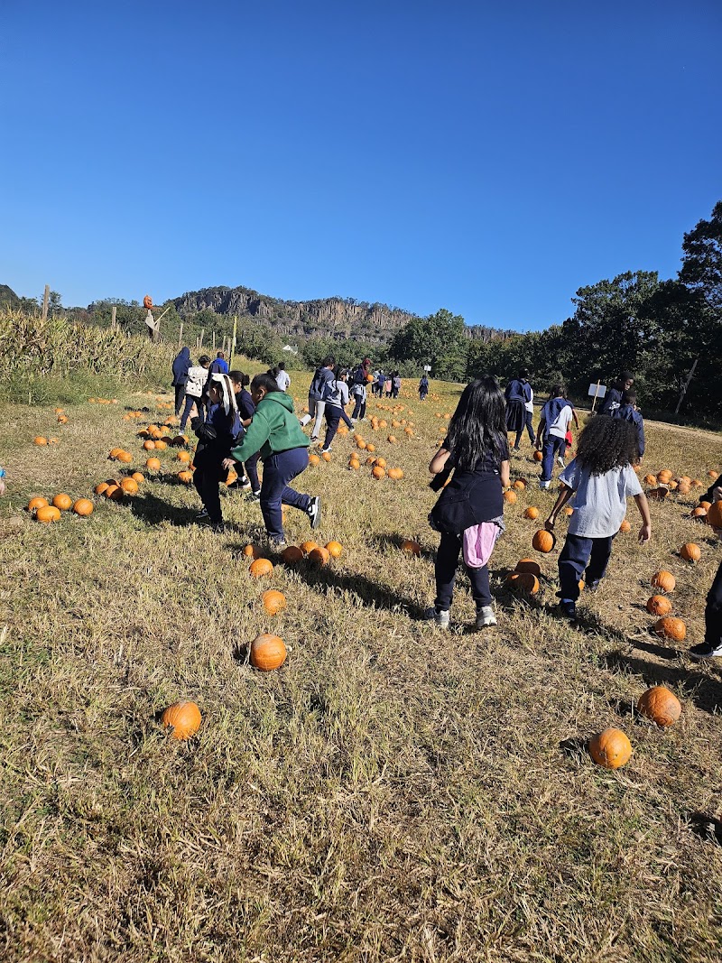 Dr Davies Farm photo 5