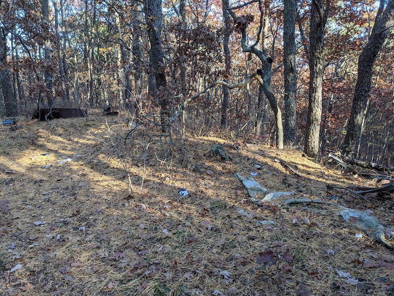Dr. Jeffrey Wenig Memorial Park photo 5