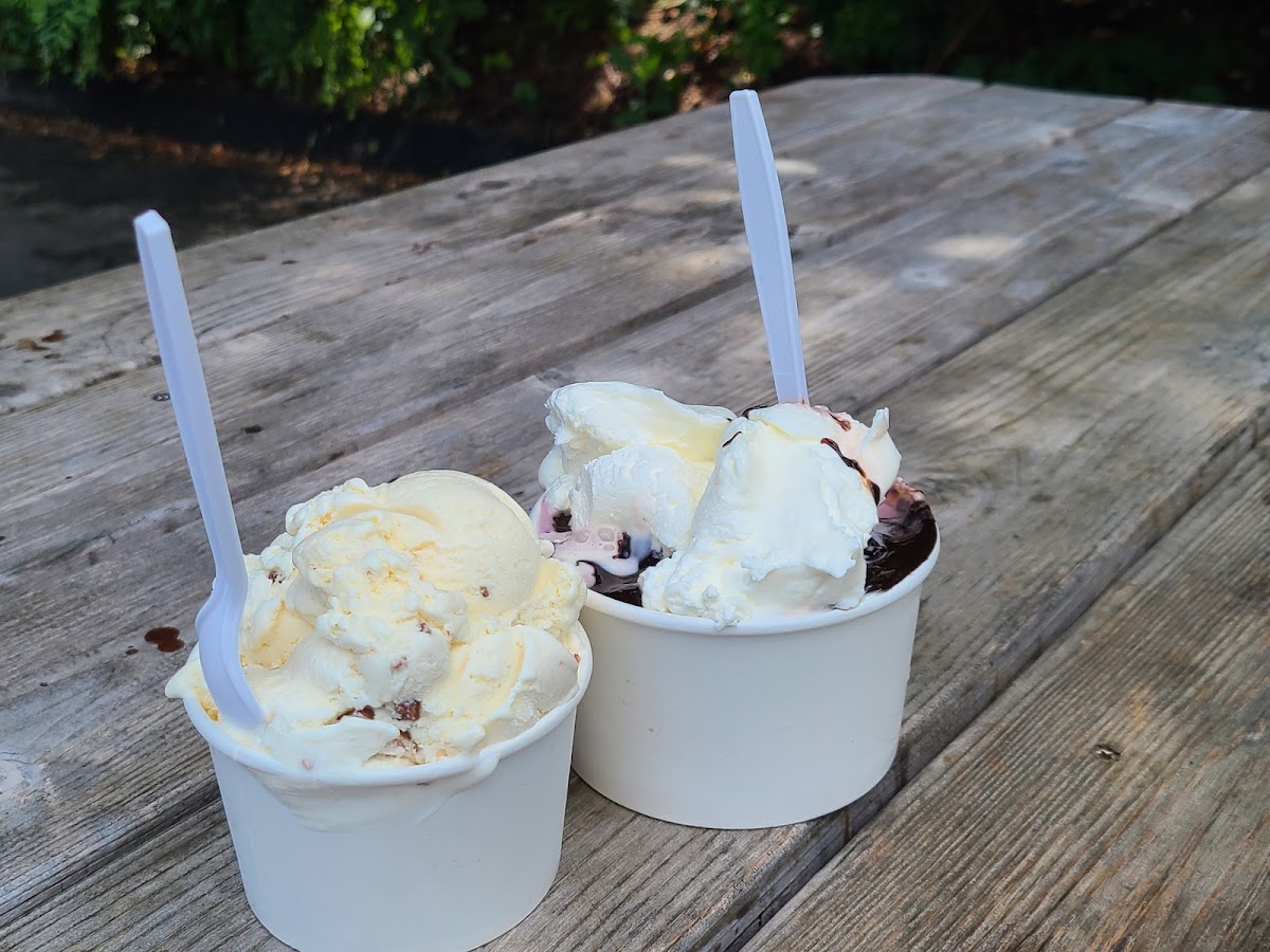 Dr Mike's Ice Cream Shop photo 4