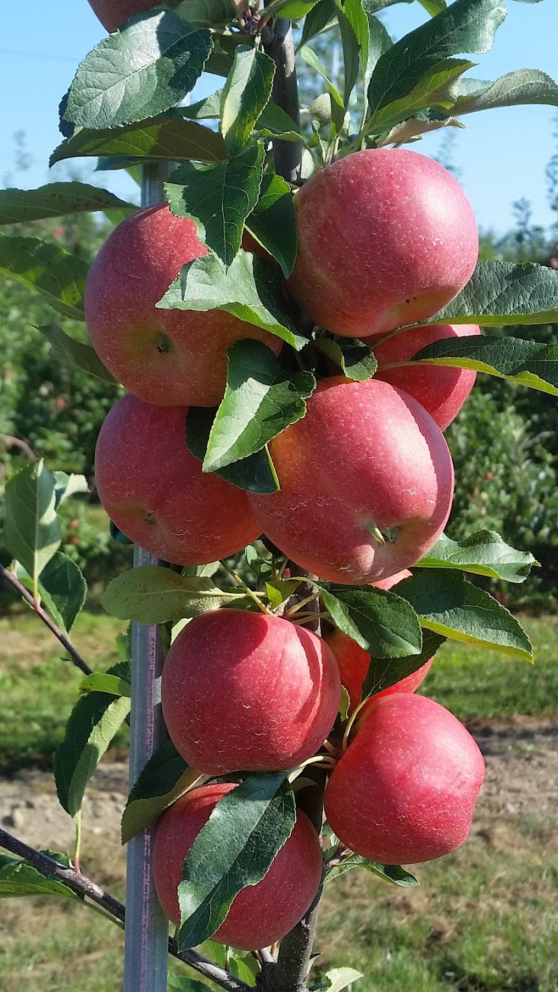 Dressel Farms photo 2