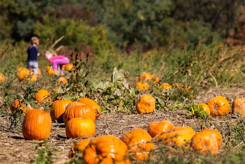 Dressel Farms photo 3