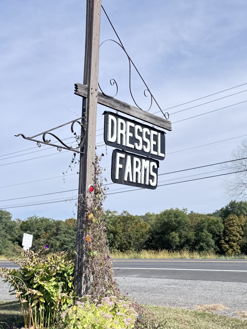 Dressel Farms photo 4