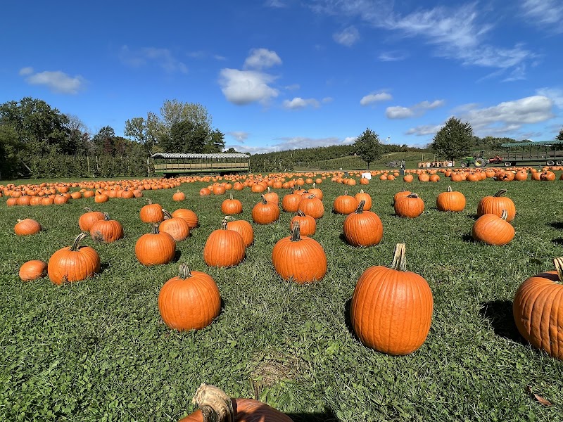 DuBois Farms photo 2