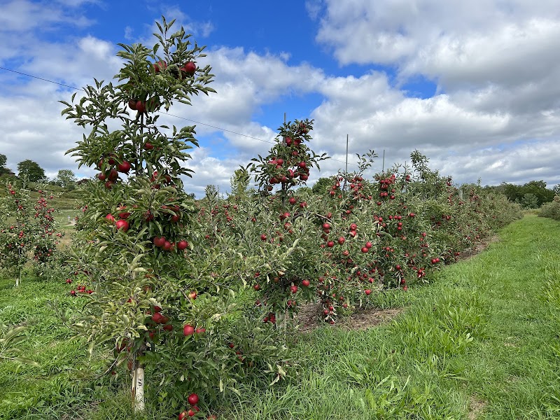 DuBois Farms photo 3