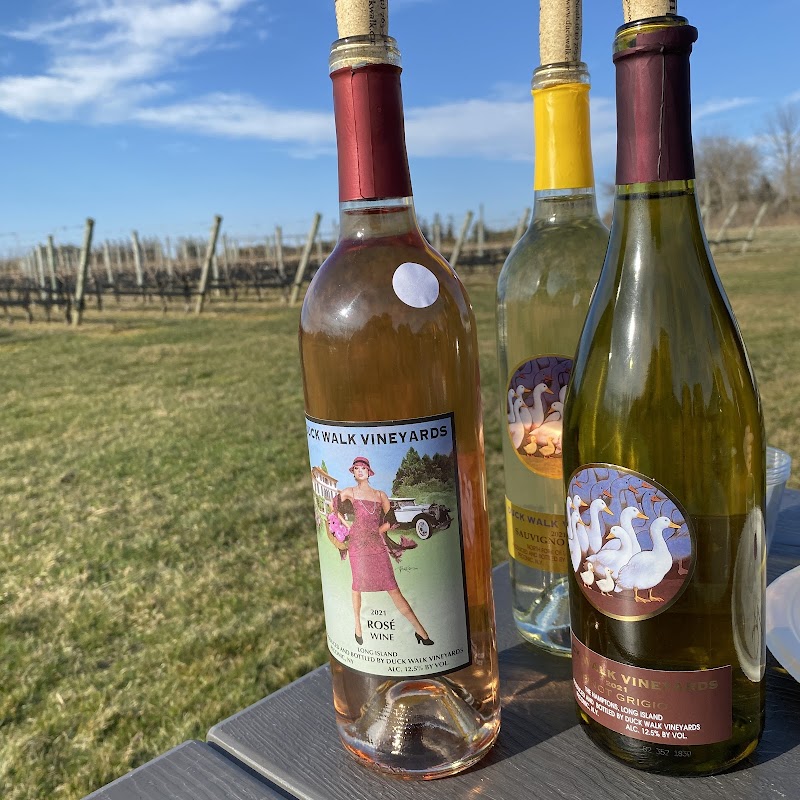 Duck Walk Vineyards photo 5