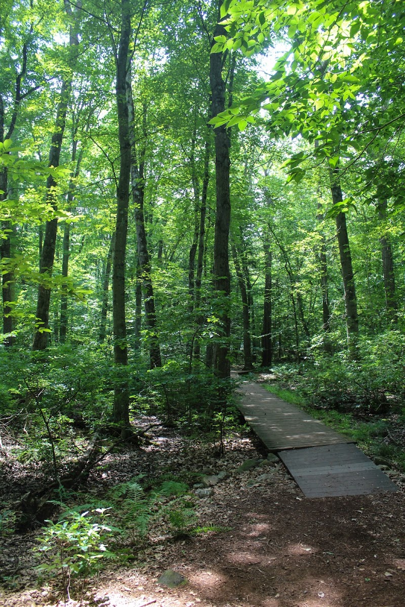 Earthplace photo 2