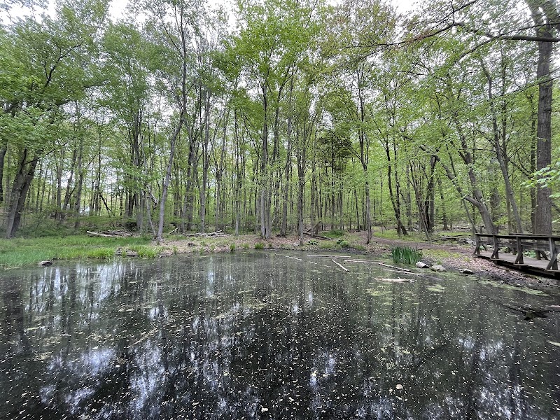Earthplace photo 4