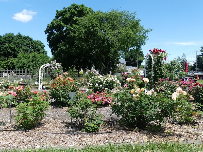 East Meadow Farm photo 2
