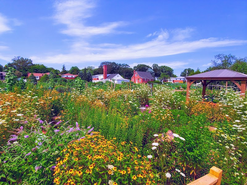 East Meadow Farm photo 3