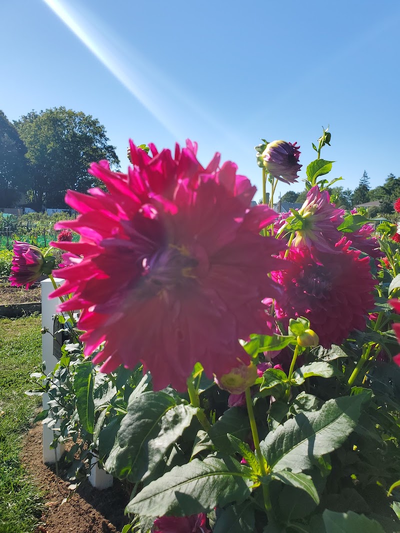 East Meadow Farm photo 5