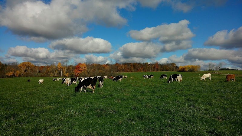 Eden Valley Creamery photo 5